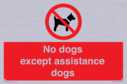 no-dogs-except-assistance-dogs~